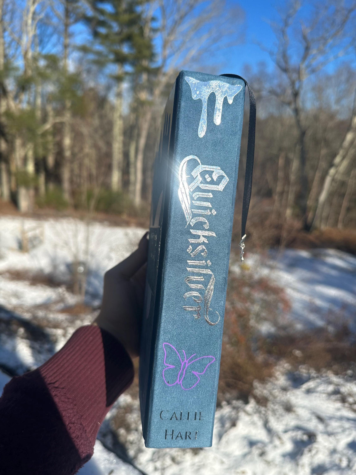 Quicksilver by Callie Hart | Special Edition | Rebind