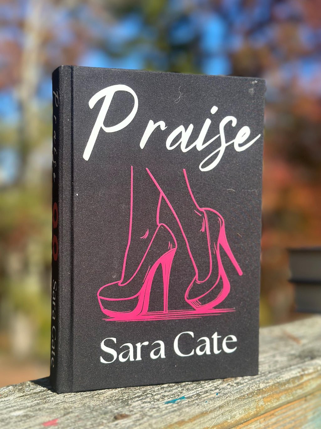 Praise by Sara Cate | Special Edition | salacious players club series | Rebind |