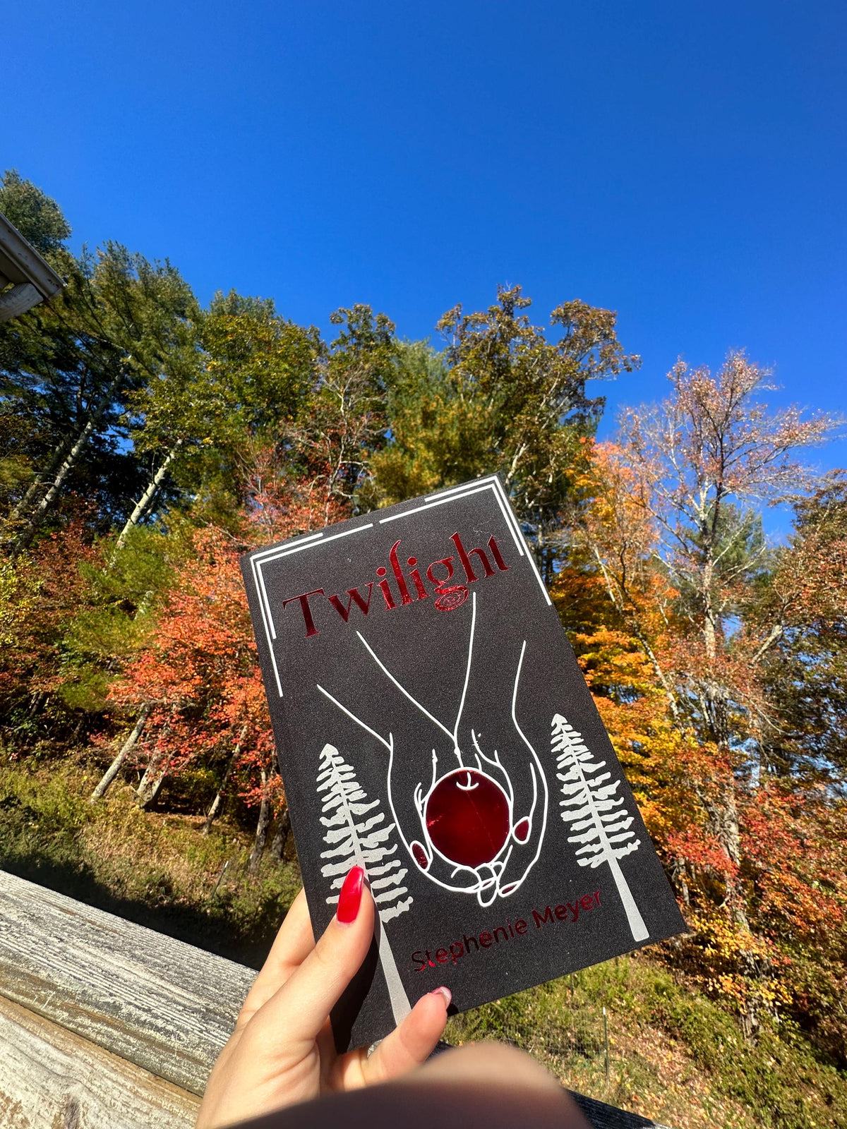 Twilight by Stephenie Meyer | Special Edition | twilight saga | Rebind