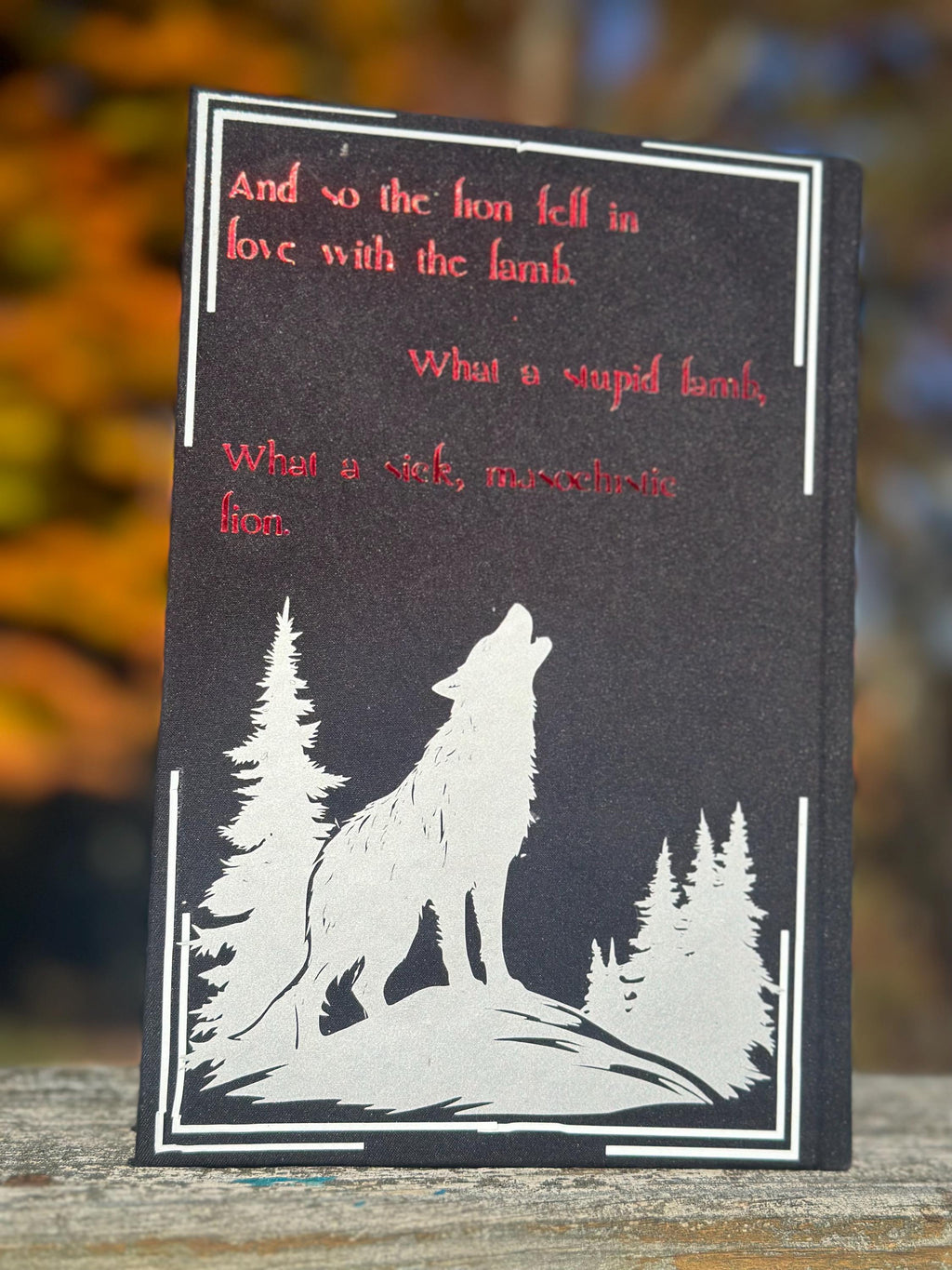 Twilight by Stephenie Meyer | Special Edition | twilight saga | Rebind