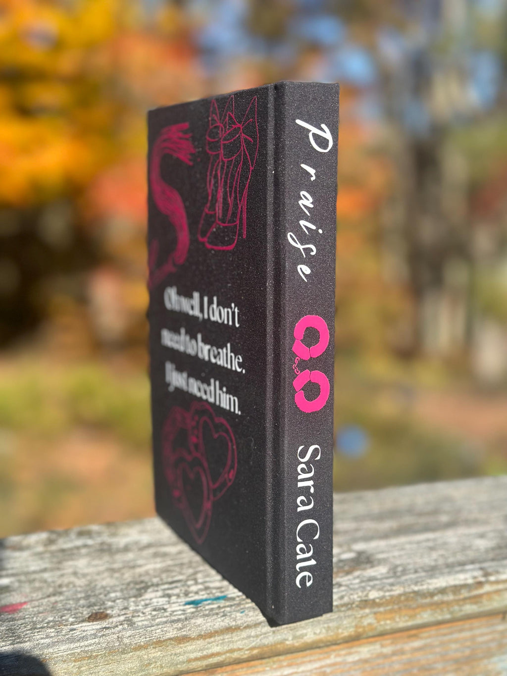 Praise by Sara Cate | Special Edition | salacious players club series | Rebind |