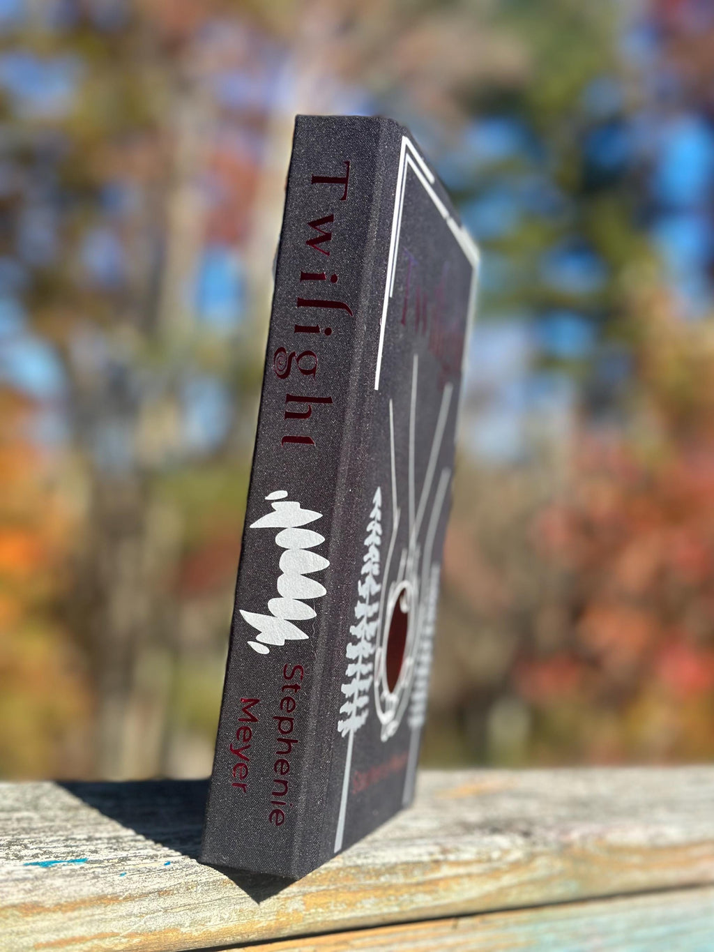 Twilight by Stephenie Meyer | Special Edition | twilight saga | Rebind